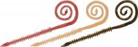 DAIWA Kohga NakaiMushi Curly 7" #Select Three