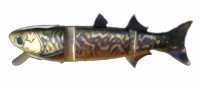 KASUMI DESIGN BORACON 150 KDW02 TIGER TROUT