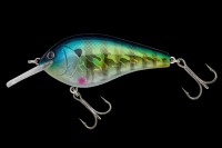 NORIES Complete Flat 68 # 310H Hologram Real Gill