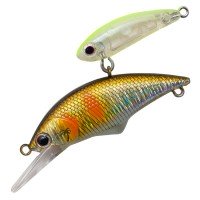 ANGLERS REPUBLIC PALMS Alexandra Shade 35S # 05 Flock Ayu ( 05 ST51 )