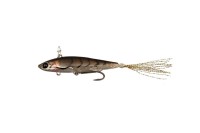 JACKALL Live Darter #Mamo Shrimp