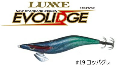 GAMAKATSU EVOLIDGE 3.5 No.19 Girella