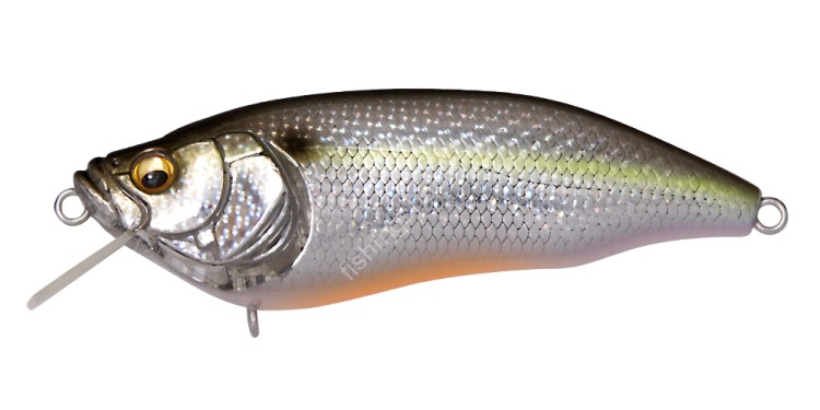 MEGABASS IxI Furious 0.5 64F 7.1g #DD Sexy Shad