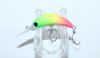MUKAI Zanmu Ido (F) #Green Chartreuse Pink