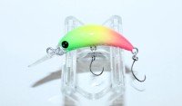 MUKAI Zanmu Ido (F) #Green Chartreuse Pink