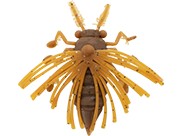 BAIT BREATH NoLook Bug #612 Caramel Bug
