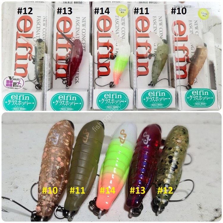 OFFICE EUCALYPTUS x TACKLE HOUSE Grasshopper SP #13 Queen R