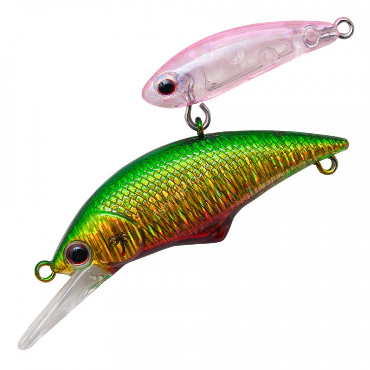 ANGLERS REPUBLIC PALMS Alexandra Shade 35S # 06 Aquamarine ( 06 ST79 )