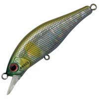 PALMS Alexandra 63HW #A-51 Abalone Ayu