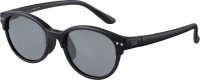 DAIWA DN-8044CH Renzu Kokan Shiki Polarized Glasses (Gray) F