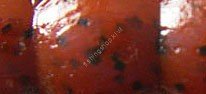 BAIT BREATH Bugsy 3.5" SW S801
