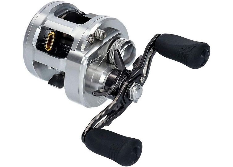 DAIWA 15 Catalina BJ 100H Reels buy at Fishingshop.kiwi
