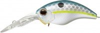EVERGREEN Wildhunch8 Eight-footer #289 Queen Shad