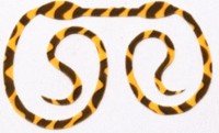 SASA LABO CSC-02 Cobra Slim Curly #02 Orange Zebra