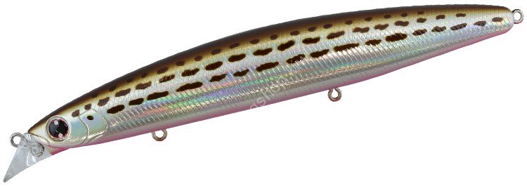 DAIWA Shore Line Shiner Z Vertice SD 140S #HataHata Pink Belly
