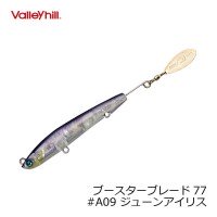 VALLEY HILL Booster Blade 77 A09 June ris