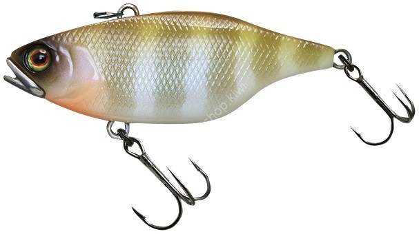 JACKALL Skull Shell TN/70 Maruhata Sound #Maruhata White Gill