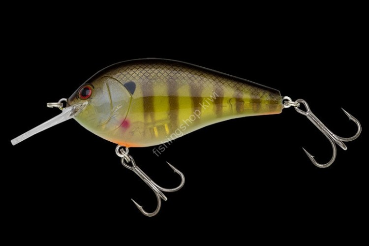 NORIES Complete Flat 68 # 355 Real Ghost Gill
