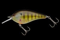 NORIES Complete Flat 68 # 355 Real Ghost Gill