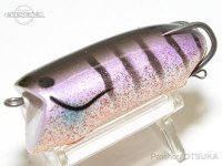 RODIO CRAFT Pictus #17 Gill Sun