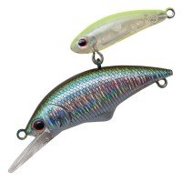 ANGLERS REPUBLIC PALMS Alexandra Shade 35S # 05 Wakasagi ( 05 ST95 )