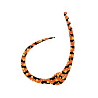 SASA LABO SCCJ-06 Single Cobra Curly Jr. #Orange Zebra Gold Dot