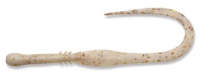 ECOGEAR Jukusei Tairaba Aqua Kuwase Curly Slim #J20 UV Pearl Hiika