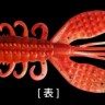 PRO'S ONE Spiny Craw 3.5 #11 Rockbait Shrimp