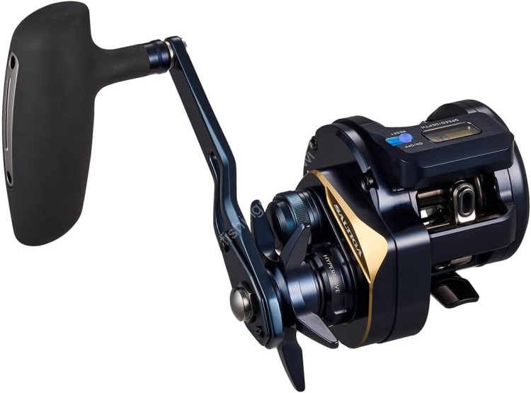 DAIWA 25 Saltiga IC 300H-SJ-C