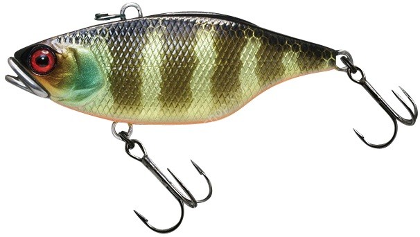 JACKALL Skull Shell TN/70 Maruhata Sound #Maruhata Gold Gill