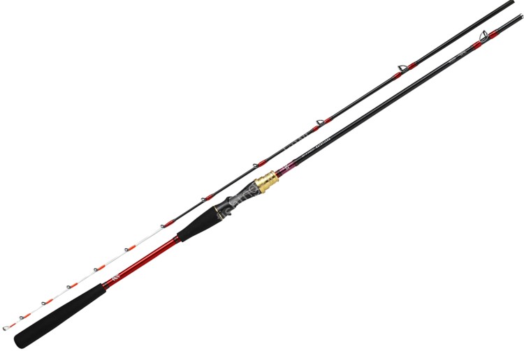 DAIWA Analystar Tachiuo ML-180・R