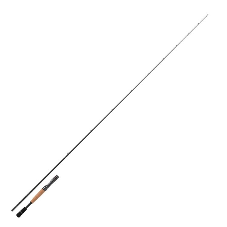 DAIWA Steez C66M