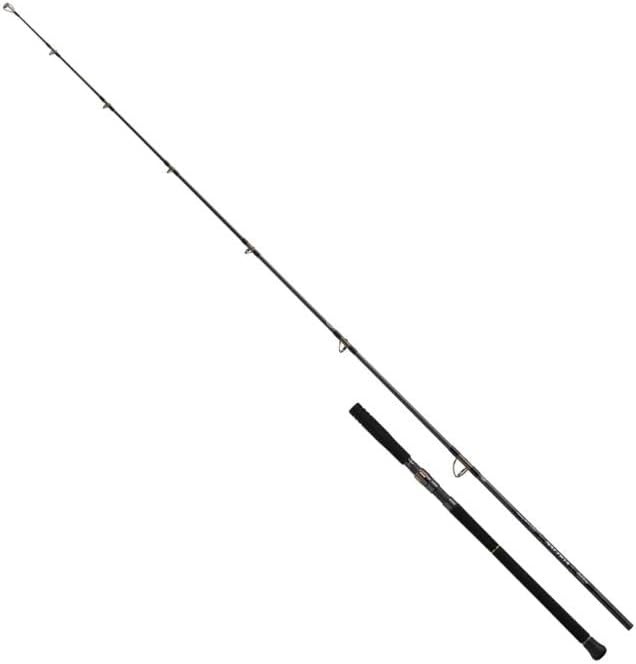 DAIWA Saltiga C Blue Swing 85-6
