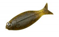 DSTYLE Gilluula 2.5" Green Pumpkin Pepper