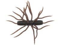 HIDE-UP Coike Thunder Elastomer #103 Green Pumpkin