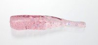 ISSEI Umitaro HaneEbi 1.5" #035 Keimura Rainbow