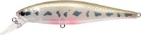 LUCKY CRAFT Pointer 100SP #Pearl Vairon