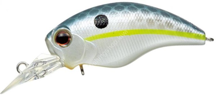 EVERGREEN WildHunch SR #289 Queen Shad