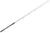 DAIWA Saltiga LJ EX 61XHS TG