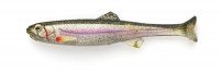 IMAKATSU Huddle Fat Fly Elastomer 2.8" S-229 Half Skeleton Wakasagi TypeII