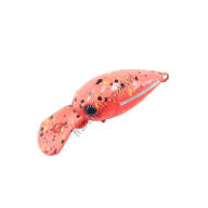 Daysprout Guardian Risky GR-62UL Rods buy at Fishingshop.kiwi