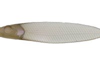 ISSEI Liar Minnow Flat Sakana Sakana 3.8in #62 Chigyo Wakasagi