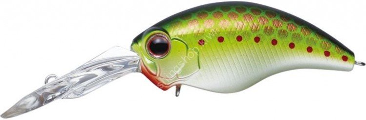 EVERGREEN Wildhunch8 Eight-footer #373 Olive Copper Shad