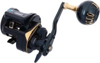 DAIWA 25 Saltiga IC 300L-C