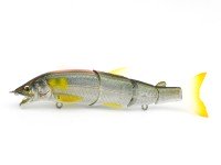 LITTLE JACK Gorgon 125 Custom #02 Kiyose Chart Pink Back