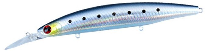 DAIWA Shore Line Shiner Z Set Upper 125S-DR Aomono SP #Adel Keimura Odo Iwashi