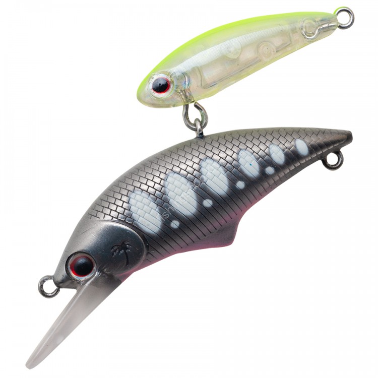ANGLERS REPUBLIC PALMS Alexandra Shade 43S # 05 Flock Ayu ( 05 ST51 )
