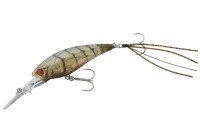 JACKALL D-bill Shad 55SR #Babataku GasaGasa Shrimp