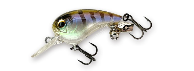 IMAKATSU Bean Bats 30F 2.5g #215 Kogiru