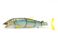 LITTLE JACK Gorgon 125 Custom #04 Konoshiro Glow Back
